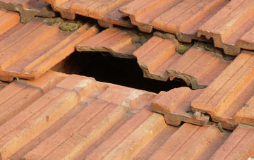 roof repair Gauntons Bank, Cheshire